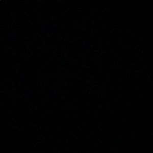 Meet your Posher, Kaitlyn